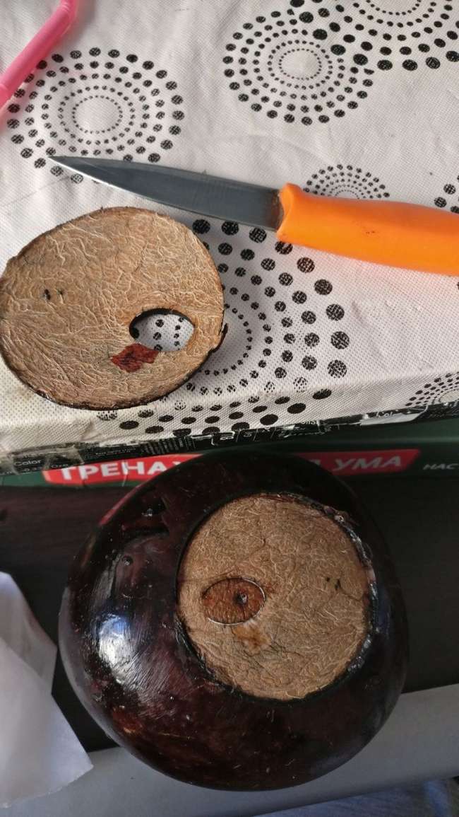 Не ведитесь на удобный кокос с открывашкой (8 фото)