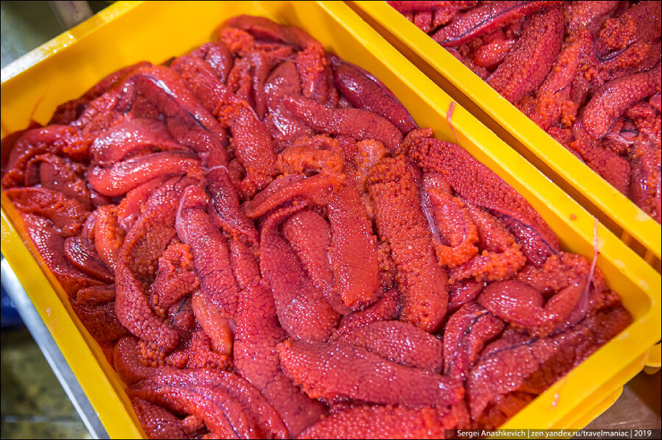 Красная икра вёдрами: как на Камчатке делают главный русский деликатес ❘ фото