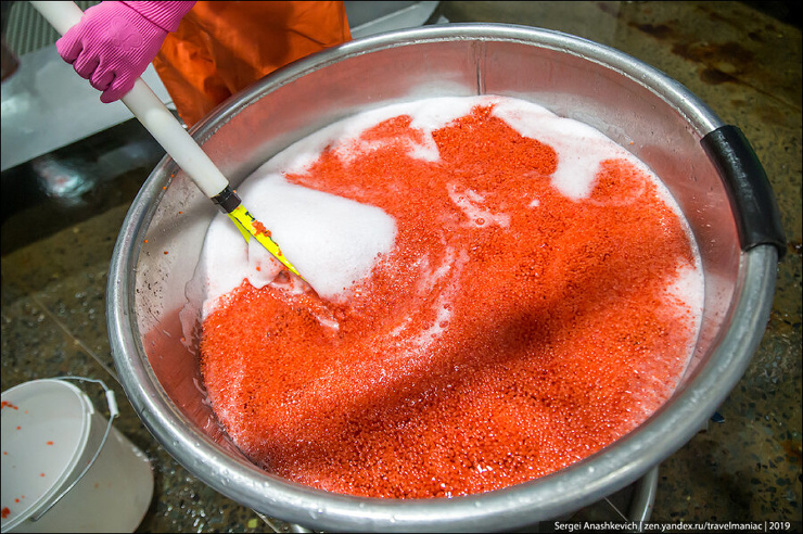 Красная икра вёдрами: как на Камчатке делают главный русский деликатес ❘ фото