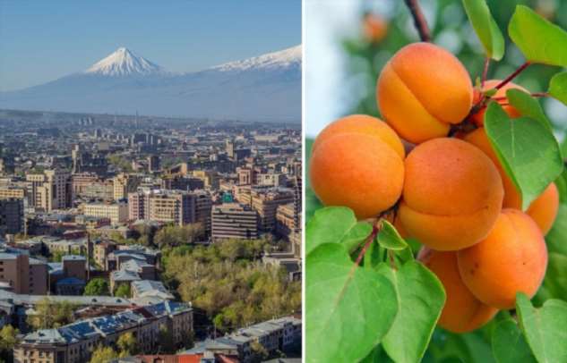 Зачем в школах уроки шахмат, почему дома розовые, а на флаге — оранжевая полоса: 10 любопытных фактов об Армении